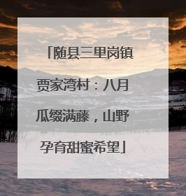 随县三里岗镇贾家湾村：八月瓜缀满藤，山野孕育甜蜜希望